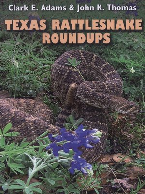 cover image of Texas Rattlesnake Roundups